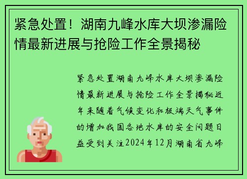 紧急处置！湖南九峰水库大坝渗漏险情最新进展与抢险工作全景揭秘