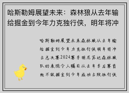 哈斯勒姆展望未来：森林狼从去年输给掘金到今年力克独行侠，明年将冲击总决赛！