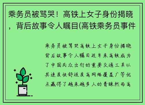 乘务员被骂哭！高铁上女子身份揭晓，背后故事令人瞩目(高铁乘务员事件)