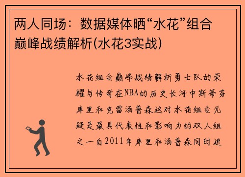 两人同场：数据媒体晒“水花”组合巅峰战绩解析(水花3实战)