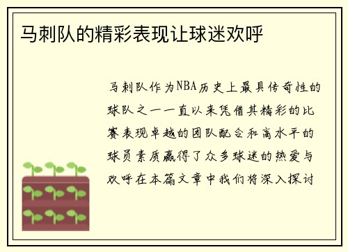 马刺队的精彩表现让球迷欢呼